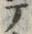 “テ”字