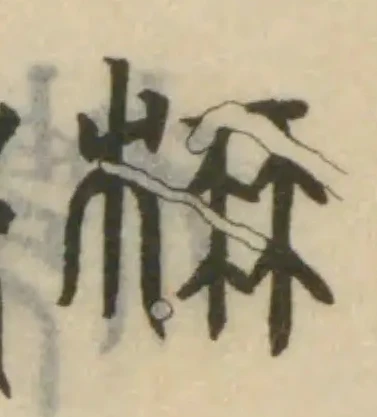 位置 確認된 柟