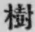 글자 樹