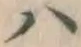 글자 ハ