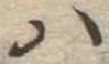 Đã định vị 𛂞