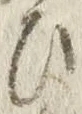 “ひ”字