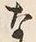 𡨸な
