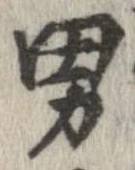 已定位男