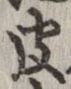 已定位皮