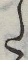 Đã định vị 𛁠