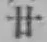 文字廿