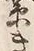 글자 率