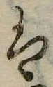 𛂣 위치 확인됨
