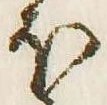 已定位𛃀