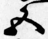 五 위치 확인됨
