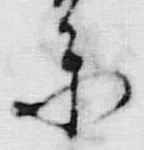文字参