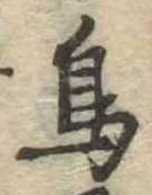 鳥 위치 확인됨