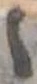 位置 確認된 ゝ