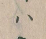 已定位𛂞