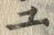 “ユ”字