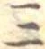 位置定マレル三