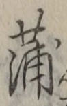 文字蒲