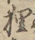 狸 위치 확인됨