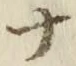 「ナ」字