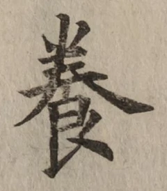 Chữ 養