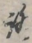 位置 確認된 未指定