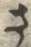 已定位さ