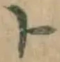 字ト