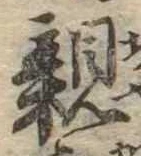 親 위치 확인됨