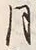Character 月