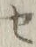 字セ