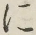 글자 に
