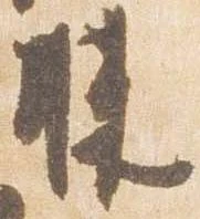 Đã định vị 膝