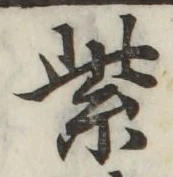 字紫