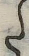 Đã định vị 𛁠