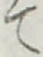 글자 て