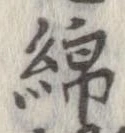 位置定マレル綿