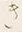 文字き