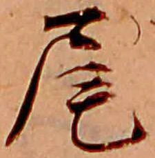 㐌定位尾