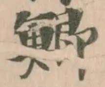 鯽の位置