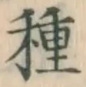 글자 種