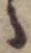Đã định vị ゝ