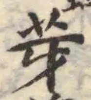 芽の位置