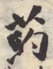 葯の位置