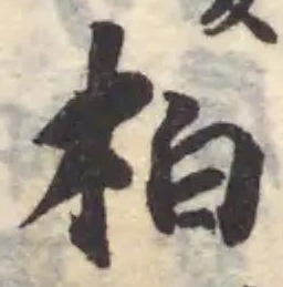 位置定マレル柏