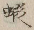 글자 蝦