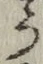 文字 う