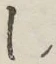 글자 し