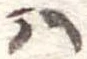 𛂞 위치 확인됨