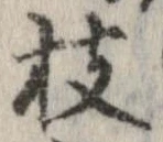已定位枝